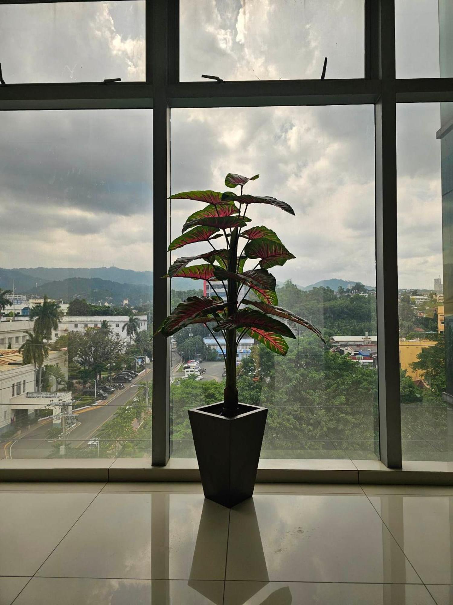 Cebu Capitol Central Hotel & Suites Powered By Cocotel Εξωτερικό φωτογραφία